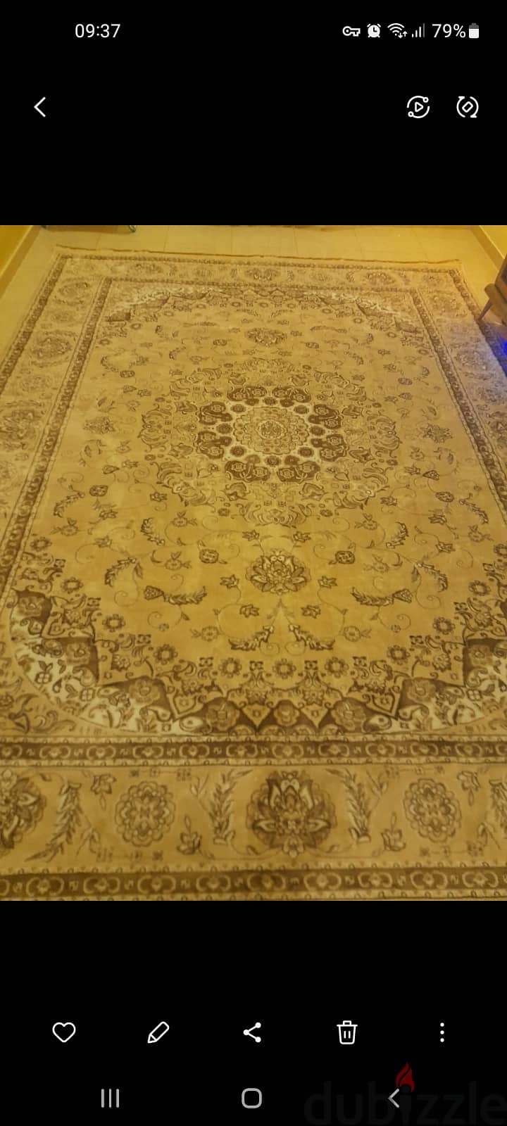 New rug 3x4 3