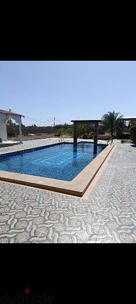 swimming pool work and house maintenance and service 1