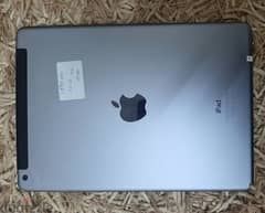 Silver
Gold
Space Gray
Capacity
32GB
Height: 9.4 inches