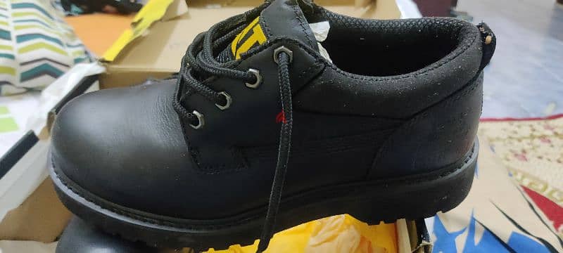 Cat safety shoes 1