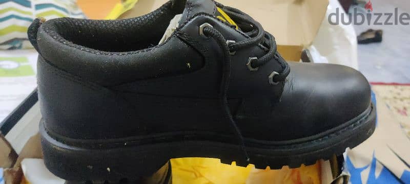 Cat safety shoes 2