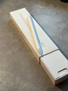 Apple Pencil with the box