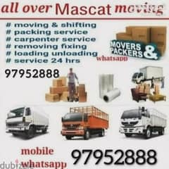 professional movers and packers villas shifting best service