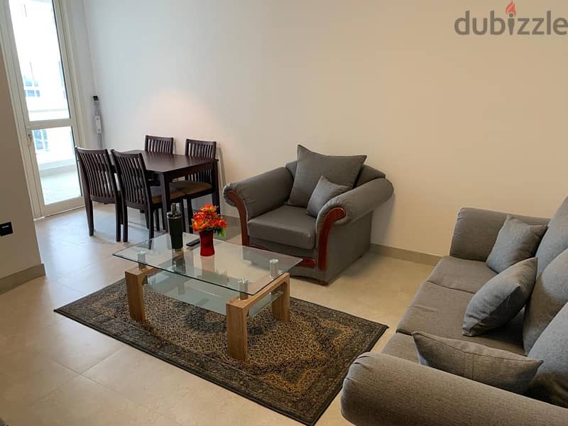 1 BHK apartment for rent in Hills Avenue-Muscat Hills 12