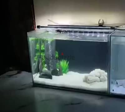 aquarium for sale