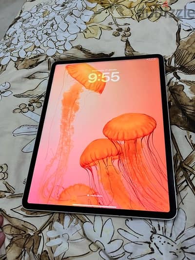 iPad Pro 12.9 6Gen 256GB cellular