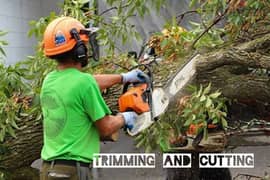 Plants and Tree-cutting Shaping Rubbish disposal Gardening service