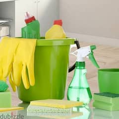 house office cleaning services