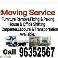 mover and packer traspot service all