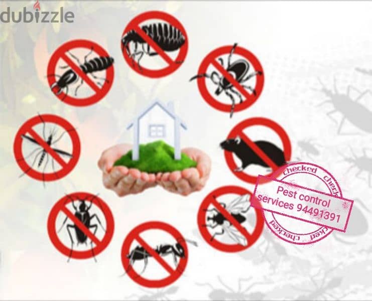 we provide you the best pest control services 94491391 3