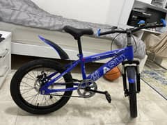 16" bicycle for kids 0