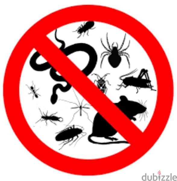 we provide you the best pest control service's 94491391 2