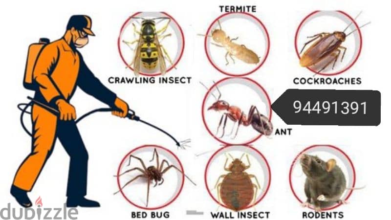 we provide you the best pest control service's 94491391 4