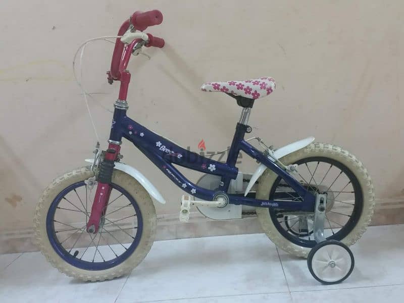 girlish bikes for children  - دراجات هوائية بناتية للأطفال 1