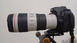 Canon 80D - Canon 70 200 f4L