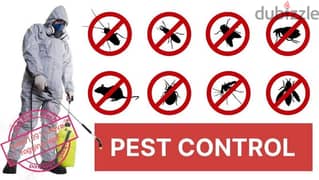 we have professional pest control services 94491391