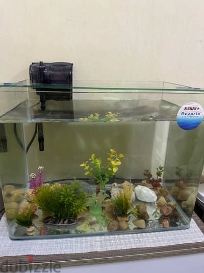 fish tank