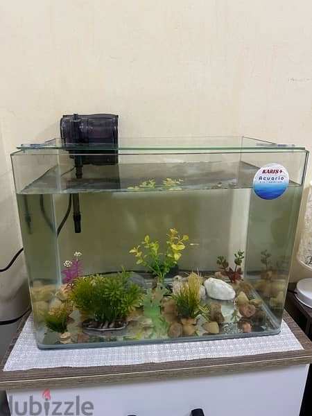 fish tank 1