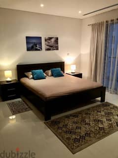 Fully furnished apartment for rent