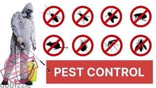 Pest control service's { 94491391