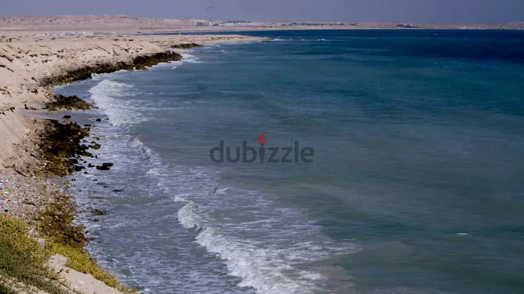 1 BR Apartments In Duqm 1