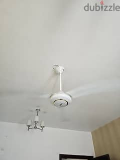 ceiling fan urgent sale