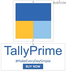 Tally Prime Accounts training and Installation.