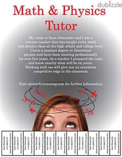 Maths and physics tuition available for all grades