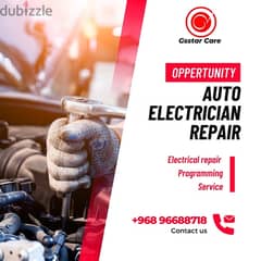 Looking for Car electrician and mechanic