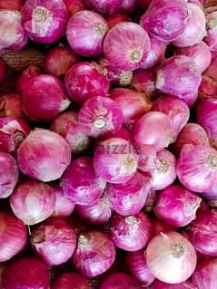 onion supplier