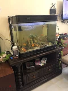 Aquarium full set with fish