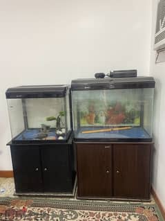 2 fish Tanks for sale with accessories and table
