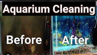 aquarium tank service watsapp me 95286803