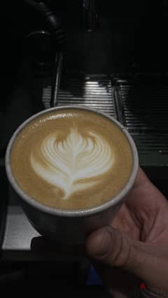 Head Barista/cafe manager