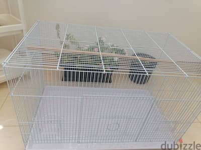 bird cage