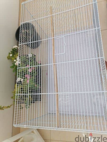 bird cage 2