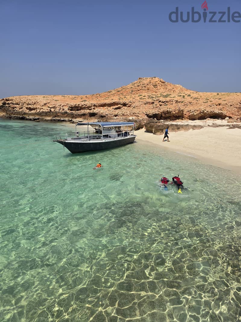 Snorkeling at dimaniyat 8