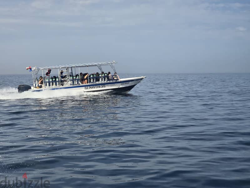 Snorkeling at dimaniyat 9