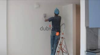 interior and exterior professional painter 0