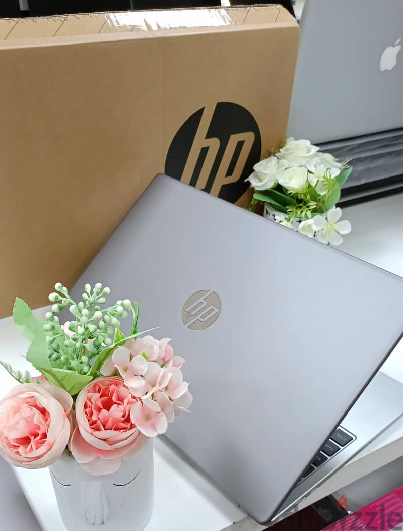 HP 250 G10 Core i7 13th Gen (32GB Ram / 512 SSD) Laptop 2