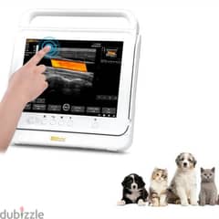 Veterinary ultrasound device