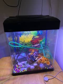 fish tank with all its accessories including temperature sensors