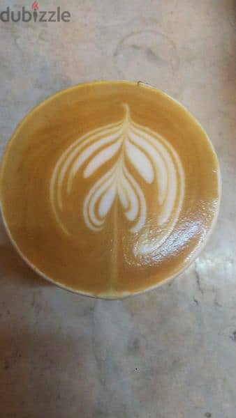 Senior barista 9