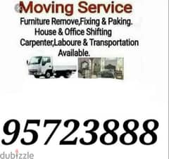 Mover carpenter house  shiffting  TV curtains furniture fixing