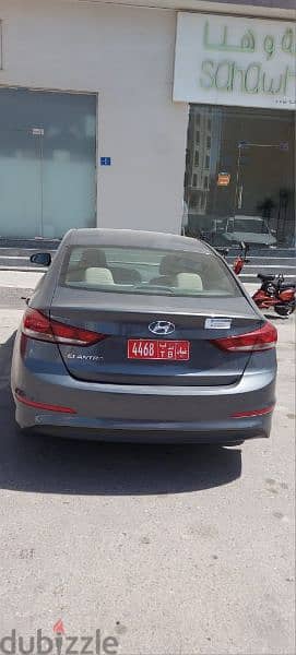 Hyundai Elantra Daily 7 Rials 6