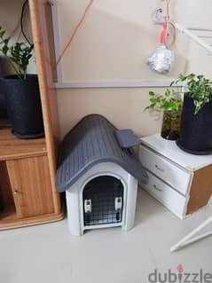 Dog or Cat house