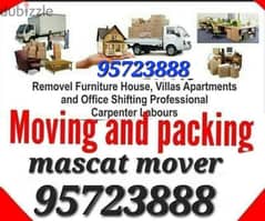 Mover carpenter house  shiffting  TV curtains furniture fixing sgus
