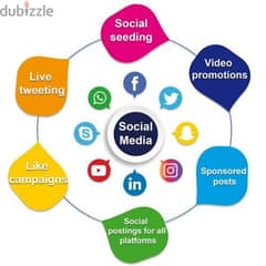 Social Media, Videography & Branding