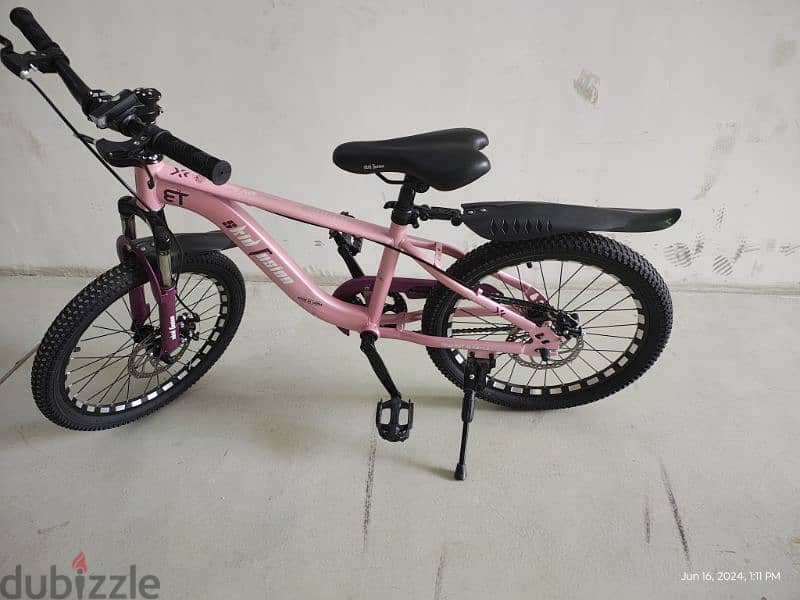 Two Kids Cycles and Motor Bike.  Expat leaving. Urgent Sale 8