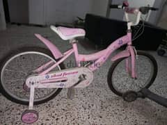 pink cycle 0
